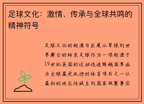 足球文化：激情、传承与全球共鸣的精神符号